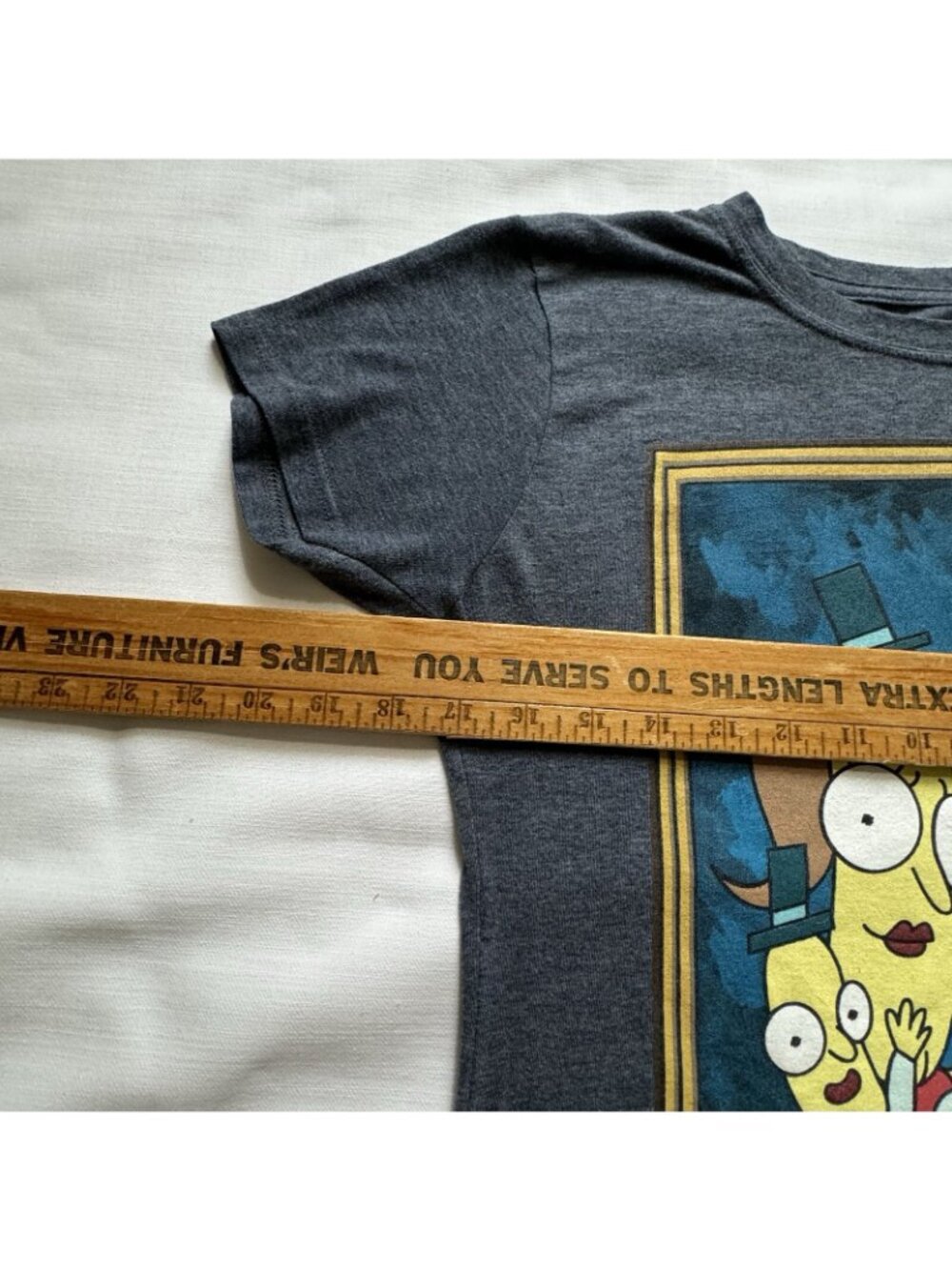 Adult Swim Rick and Morty Poopybutthole T Shirt Size L Ripple Junction Gray - Picture 5 of 7